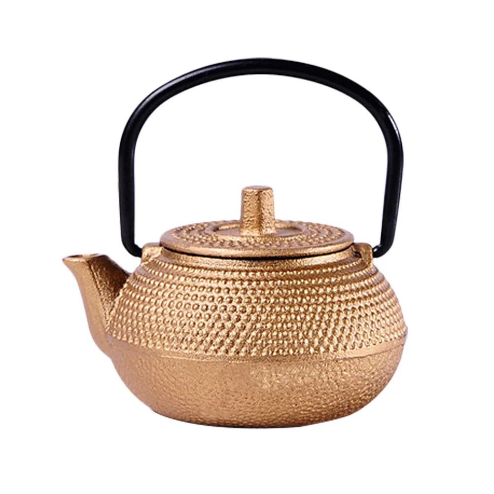 Japanese Retro Classic Cast Iron Metal Heat-resisted Teapot Kettle